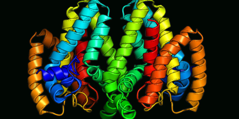 Biocatalysis (BOC)