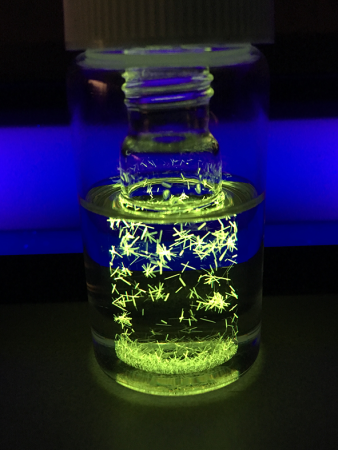 Functional Polymers and Sensors (FPS)